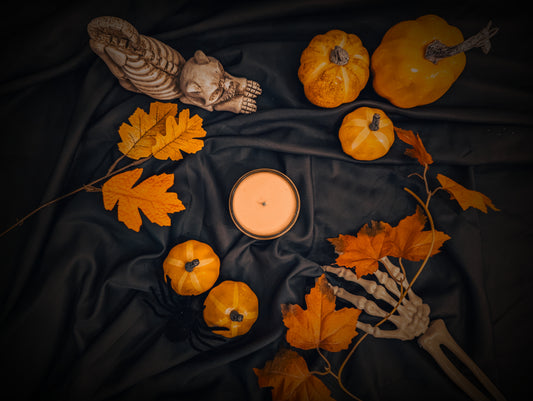 TMYLight Kärnten Duftkerze Sojawachs Baumwolldocht Mittel Vanille Erdbeere Himbeere Persian Pomegranate Zimt Lagerfeuer 1001 Nacht Palo Santo Bitterorange Lavendel Orchidee Lebkuchen Kaffee Zitrone Wüstenrose Mystic Sandy Beach Halloween Kürbis Pumpkin Spice Muttertag Valentinstag Weihnachten XMAS Vegan Biologisch